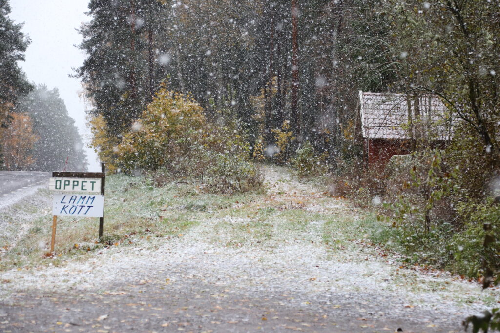 öppetskylt och litet snöfall