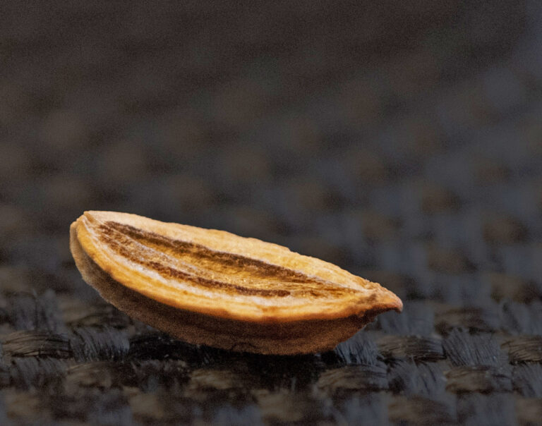 Nu är det snart dags